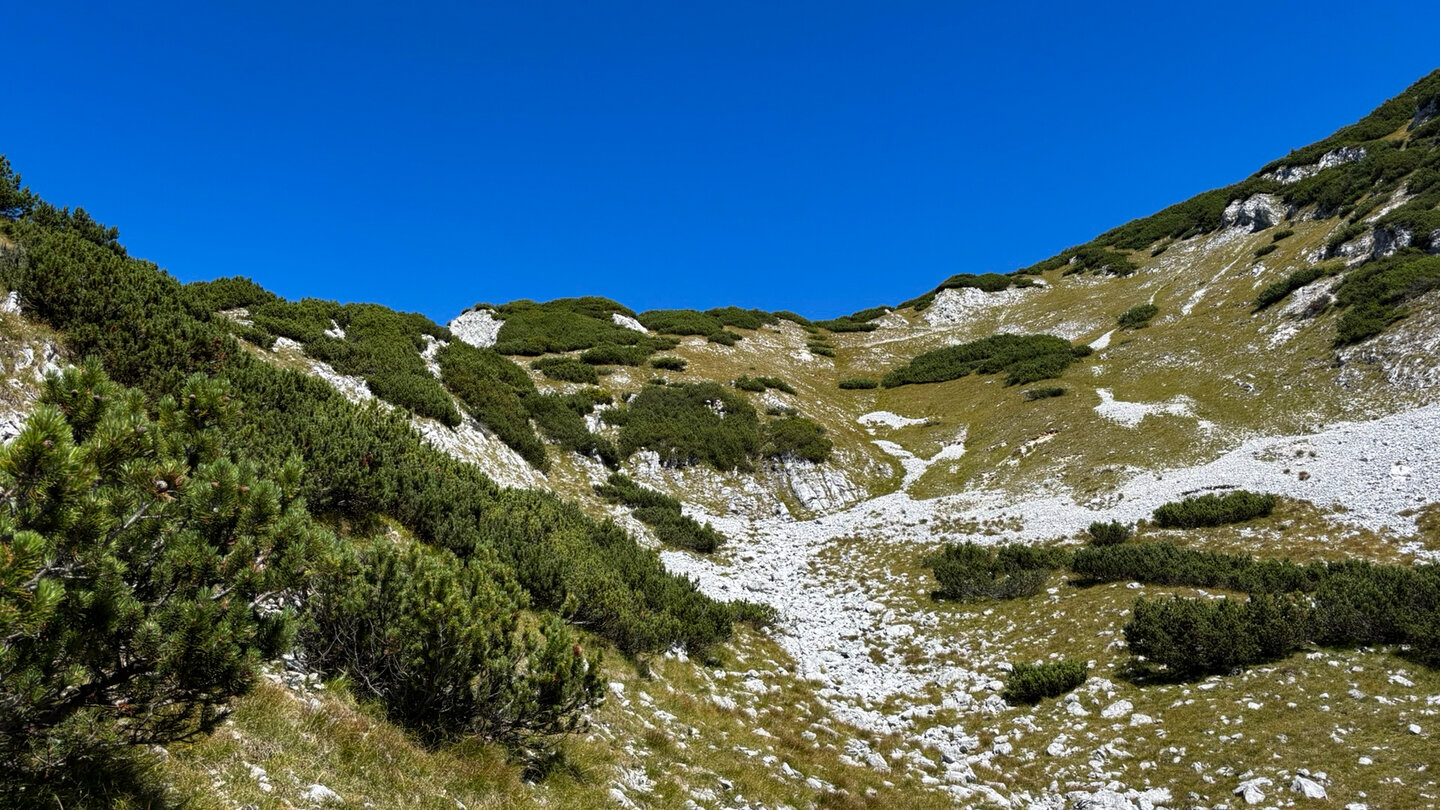 Blick zurück über die Schrofen und Latschenkiefern