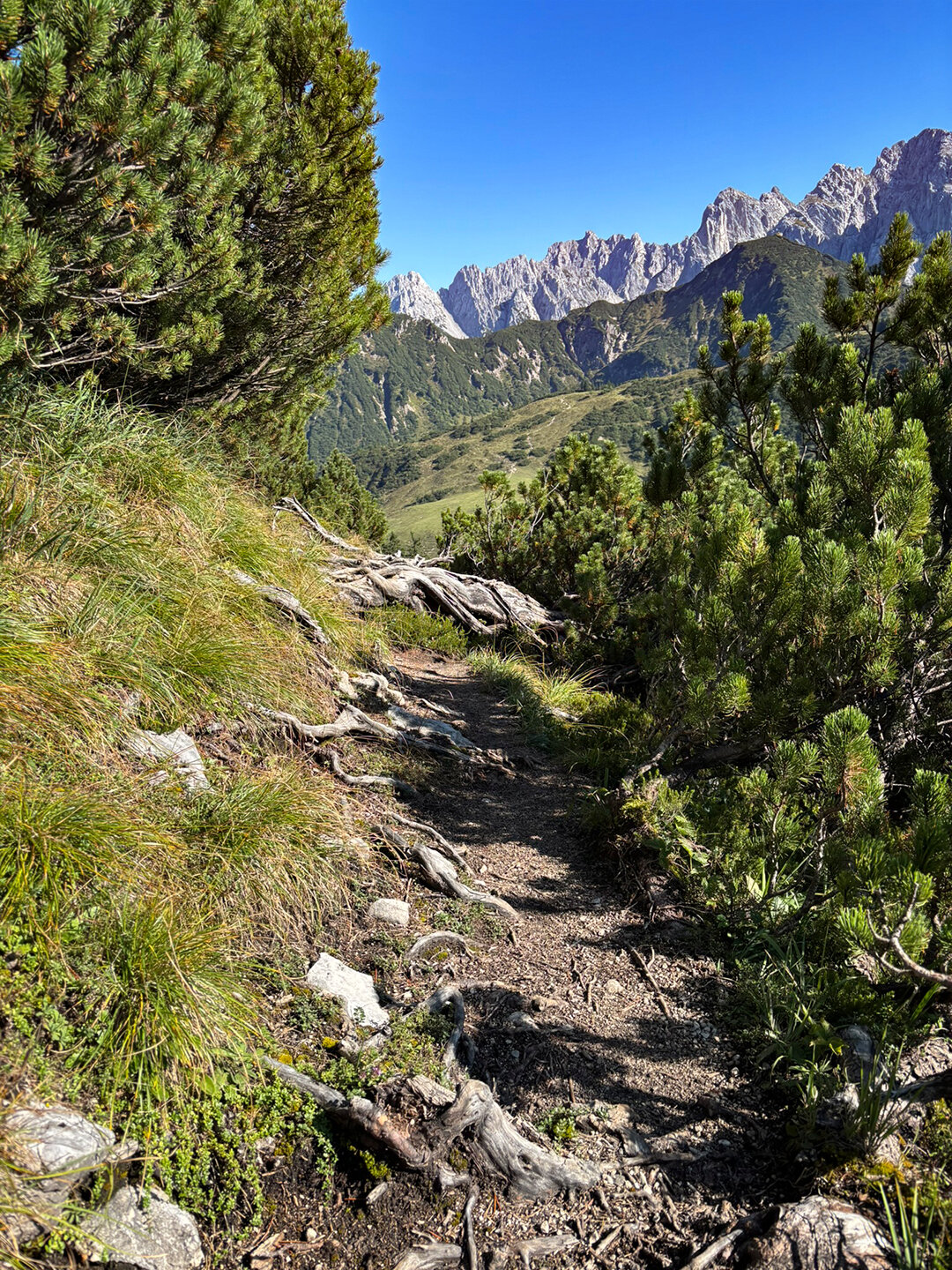Pfad Richtung Großmoosen Hochalm im Kaisergebirge