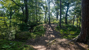 Wanderweg zum Krappenfels auf der Eulenfels-Tour