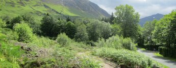 West Highland Way Etappe 7