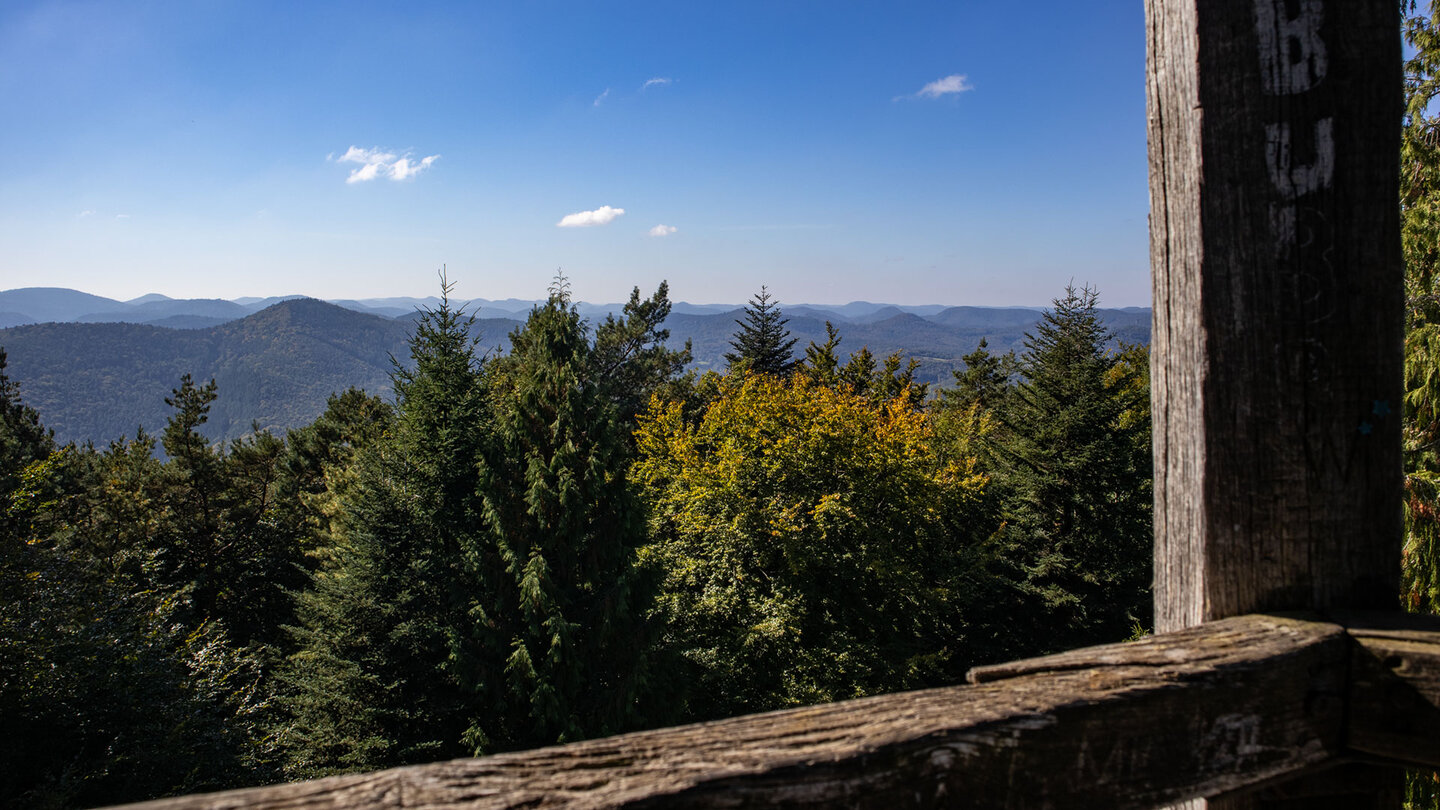 Panoramablick vom Martinsturm auf dem Treutelsberg über den Pfälzerwald und den Wasgau.