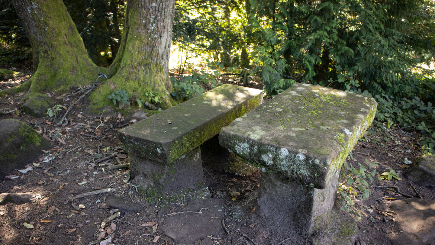 Rastplatz am Martinsturm auf dem Treutelsberg