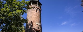 Der Martinsturm auf dem Treutelsberg, seit 1886 das Wanderziel über Klingenmünster.