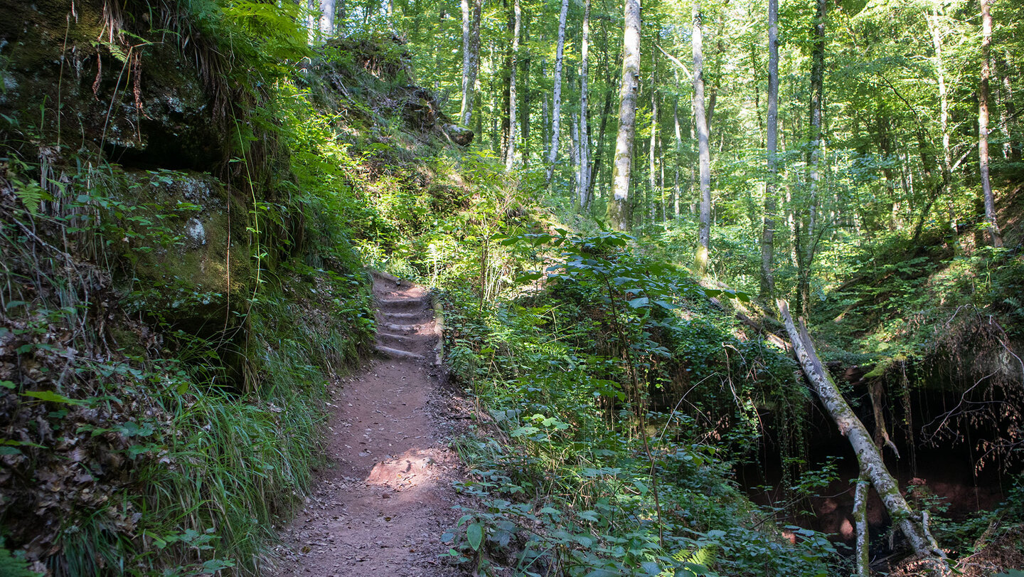 Impressionen auf dem Wanderweg durch die Hexenklamm bei Pirmasens