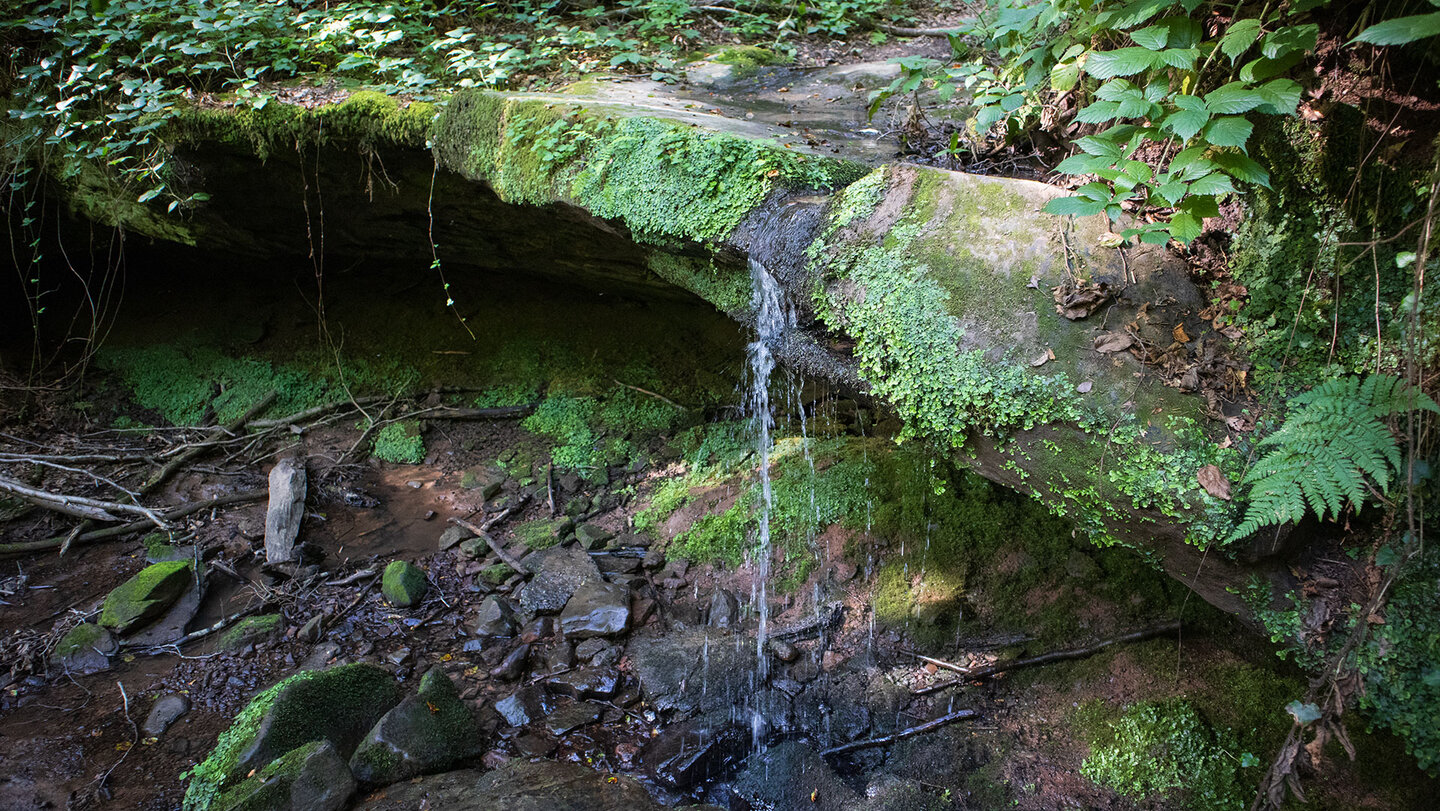 Die Hexenklamm ist eine felsige Schlucht bei Pirmasens