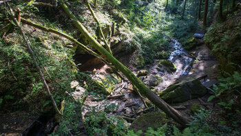 Rastplätze in der Hexenklamm Schlucht bei Pirmasens