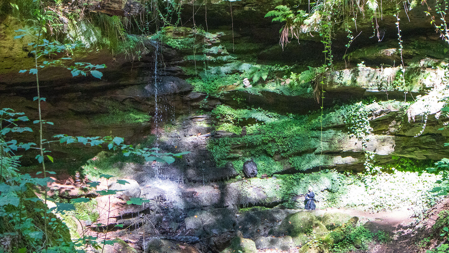 Üppige Vegetation auf dem Buntsandstein in der Hexenklamm bei Pirmasens