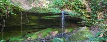 Wanderweg am Bachlauf in der Hexenklamm bei Pirmasens im Wasgau