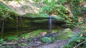 Wanderweg am Bachlauf in der Hexenklamm bei Pirmasens im Wasgau