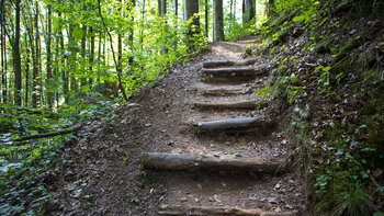 Premiumwanderweg durch die Hexenklamm mit Holzstufen an steilen Stellen