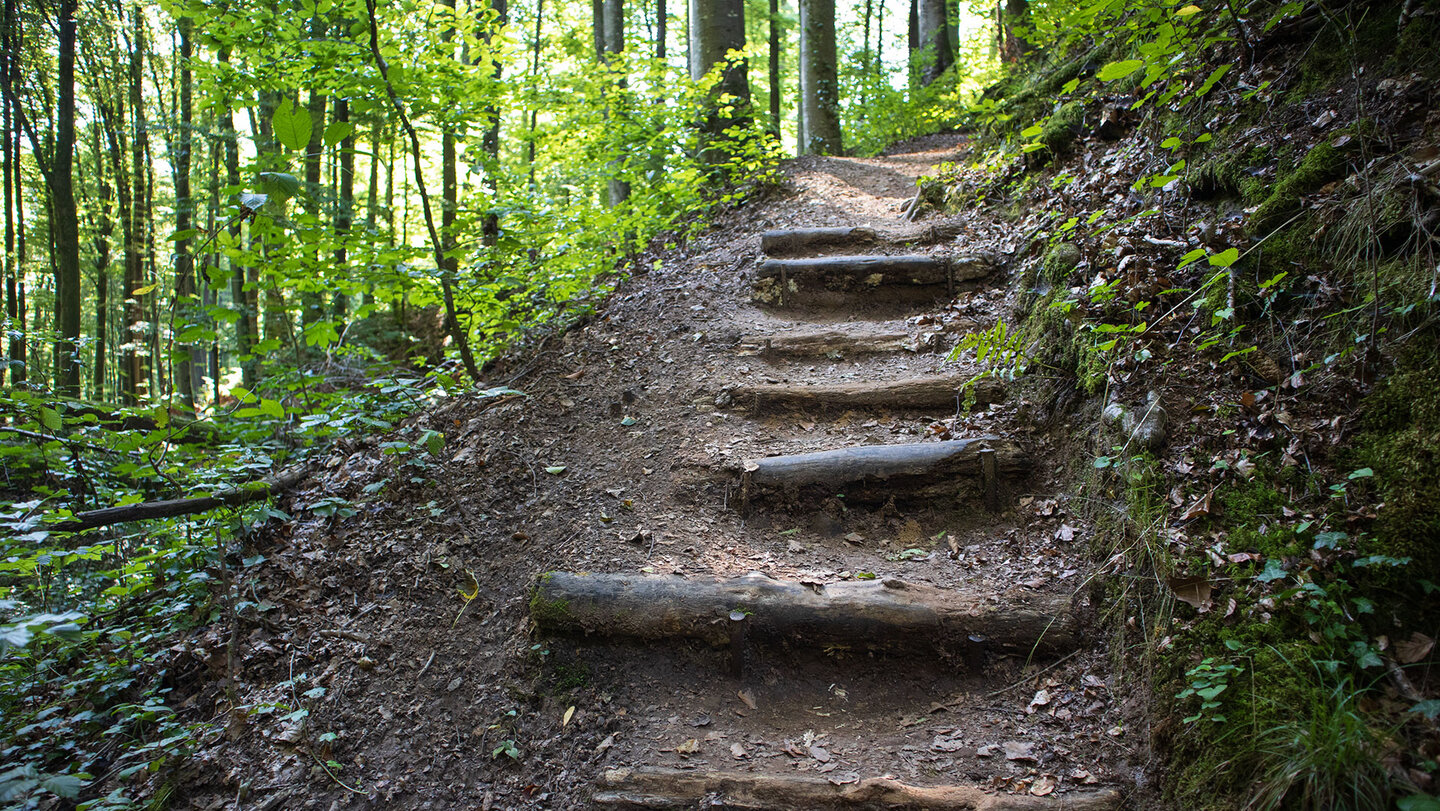 Premiumwanderweg durch die Hexenklamm mit Holzstufen an steilen Stellen