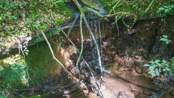 Miniwasserfall im Bachlauf in der Hexenklamm in der Südwestpfalz