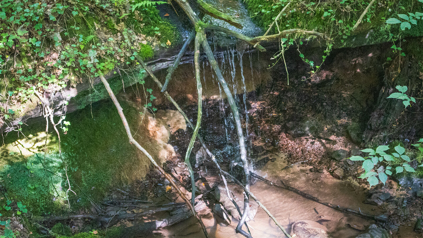 Miniwasserfall im Bachlauf in der Hexenklamm in der Südwestpfalz