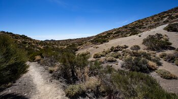 blickVulkankegel des Fasnia vom Wanderweg 22 im Teide Nationalpark