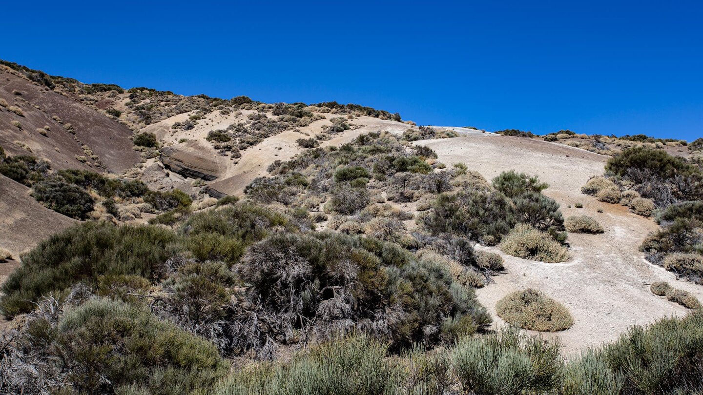 erodierte Schlucht beim Montaña de las Vacas