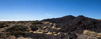 die Wanderung Volcanes de Fasnia führt über den Sendero 20 des Teide Nationalpark