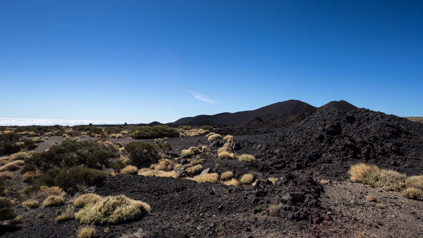 die Wanderung Volcanes de Fasnia führt über den Sendero 20 des Teide Nationalpark