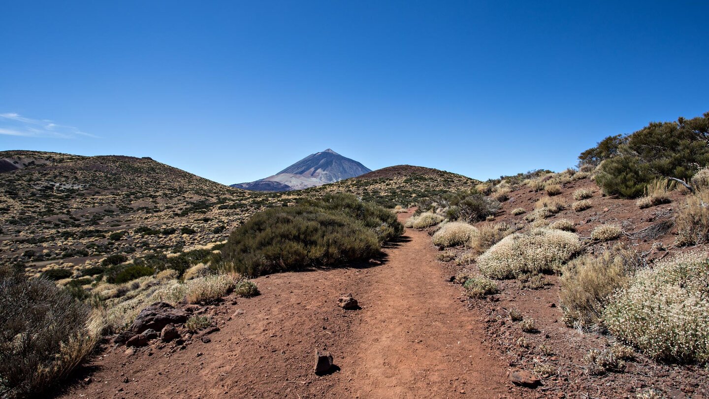 Wanderweg entlang des Montaña de la Carnicería mit Teide-Blick