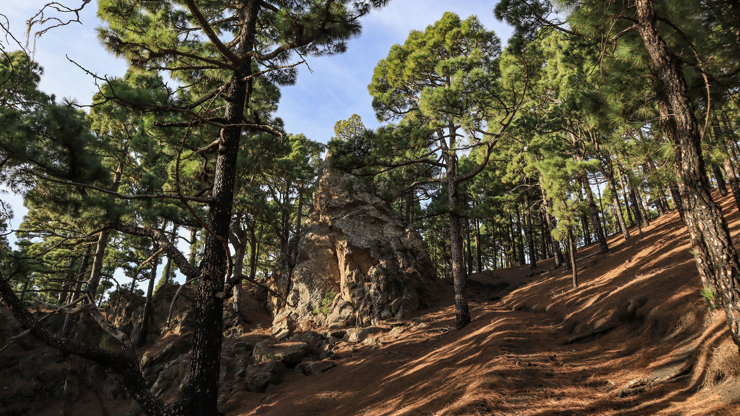 Felsdom am Montaña del Fuego