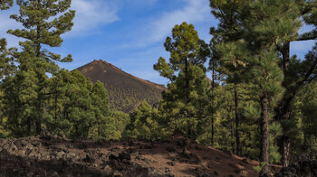 Ausblick auf den Vulkan Marín