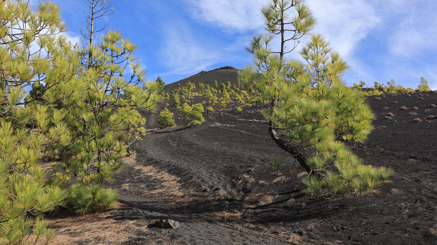 Wanderweg durch Vulkanlandschaft beim Volcán Martín