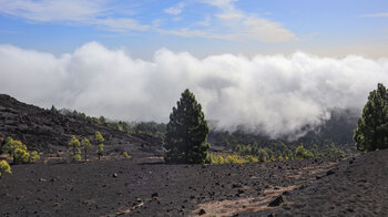 Abwanderung mit Blick auf die Lavafelder des Vulkans Martín