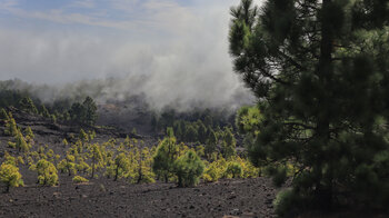 Lavafelder an der Ostseite der Cumbre Vieja