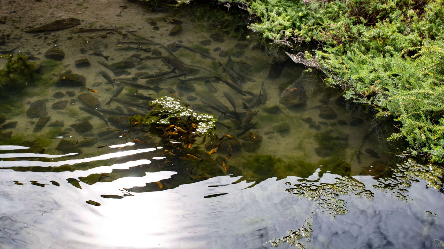 an der Mündung des Barranco del Junquillo auf Fuerteventura