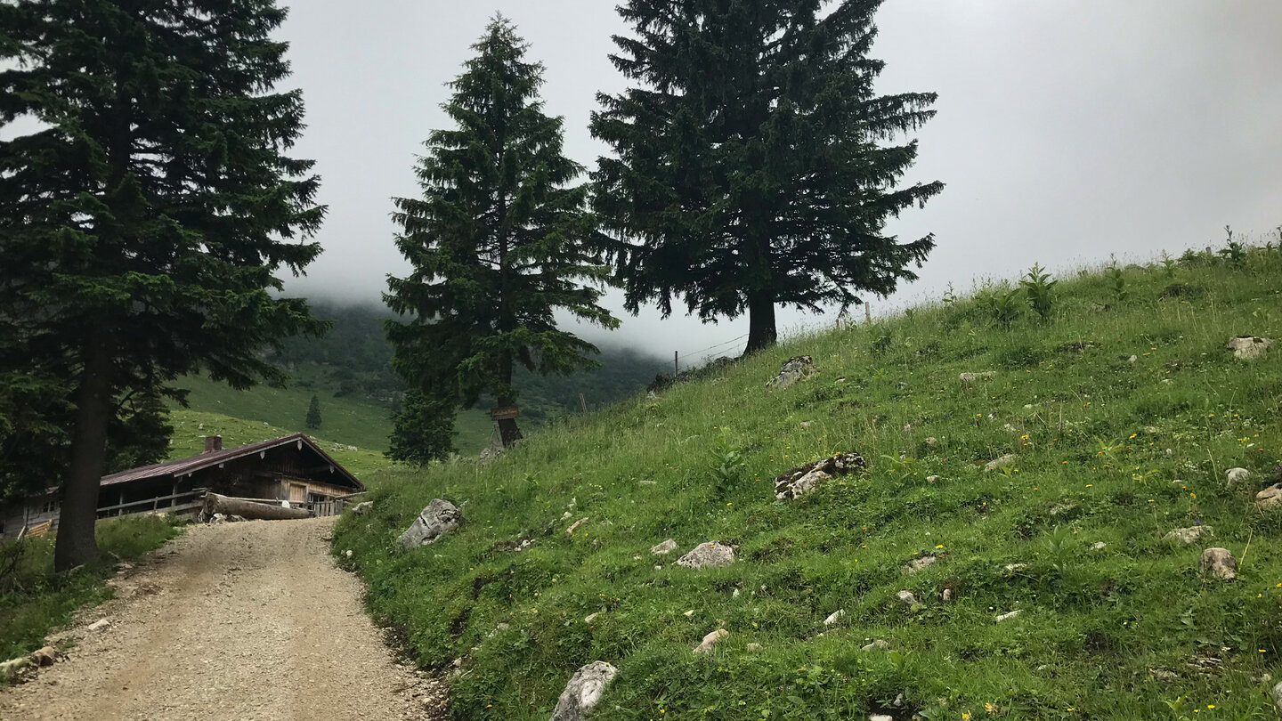 über die breite gut begehbare Piste führt die Route zur Anklaalm Route führt zur Anklaalm
