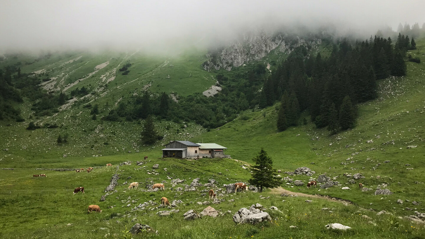 die Wolken hängen über der Kuhherde und Alm Wolken über der Kuhherde und Alm