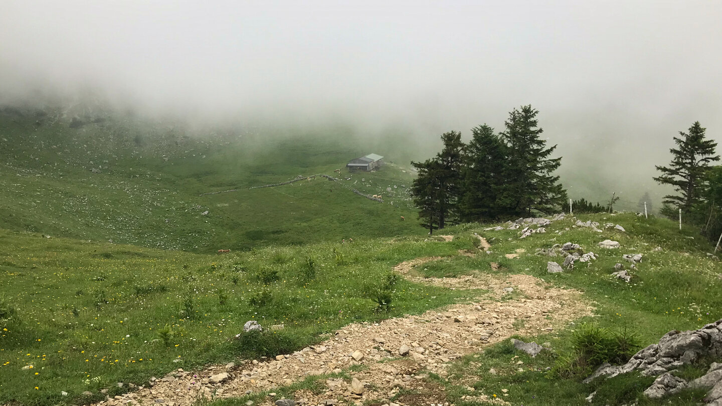 Schotterpfad führt steil hinauf zur Brecherspitze Schotterpfad hinauf zur Brecherspitze
