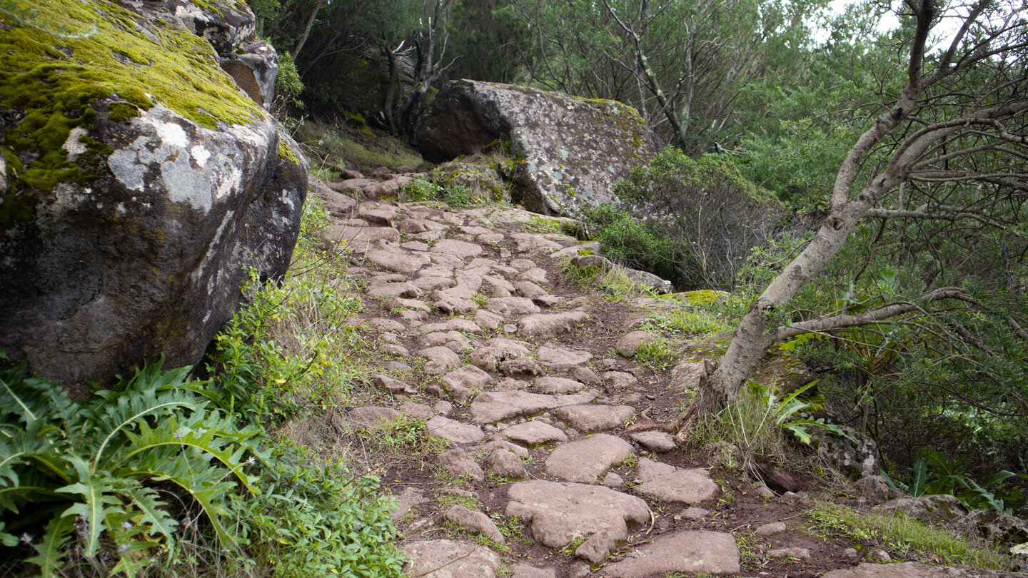 gepflasterter Wanderweg PR-TF 51 unterhalb des Cruz de Gala