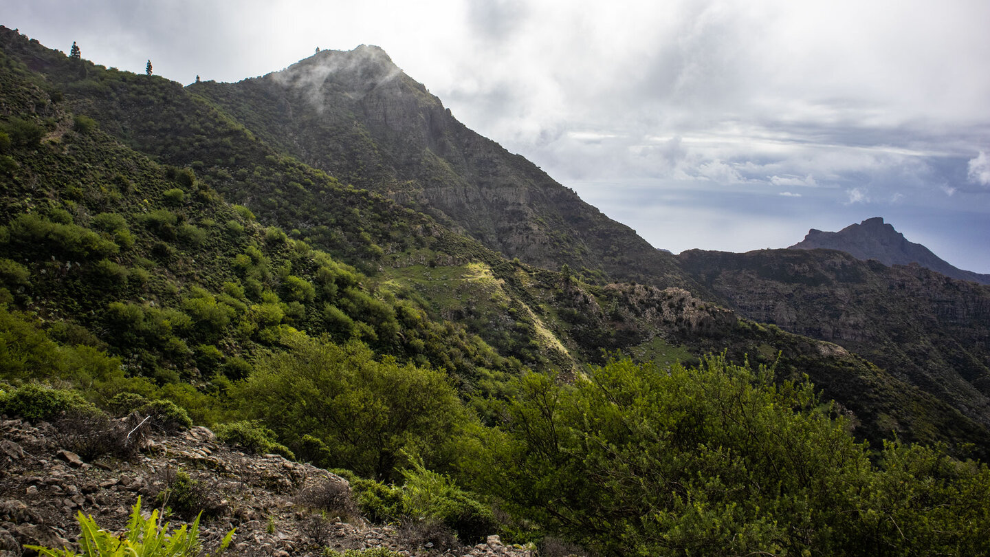 Blick auf den Risco Verde vom PR-TF 51