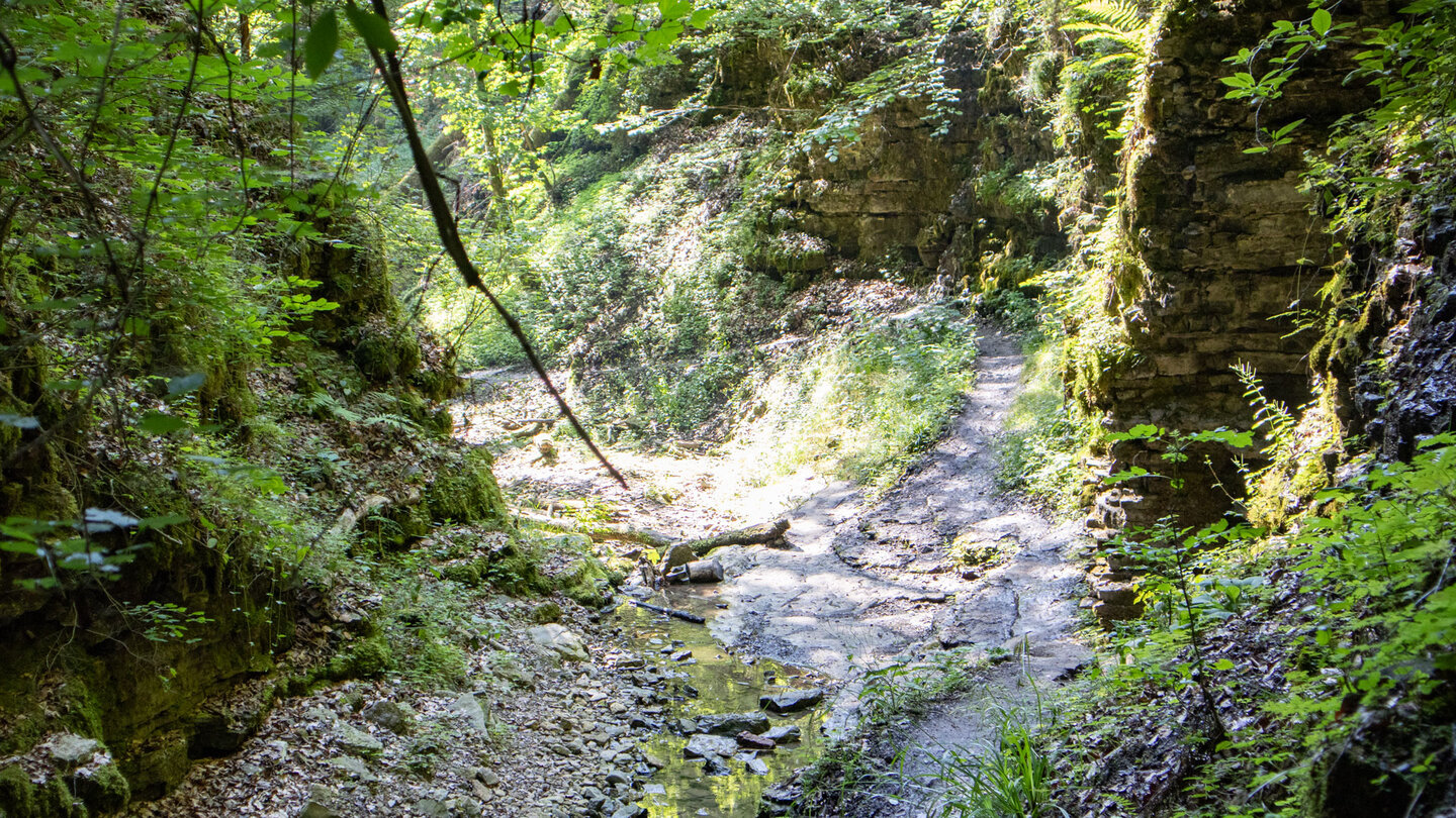 Wanderweg am Grund der Engeschlucht beim Tränkebachwasserfall