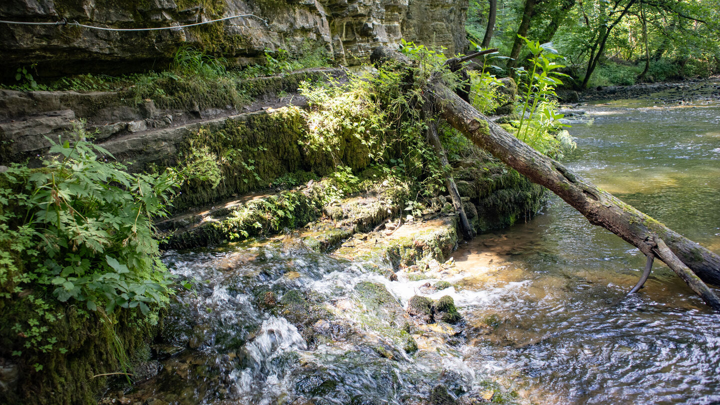 hervorströmendes Wasser am Austritt der Wutach