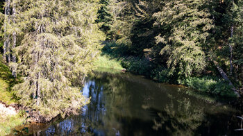 gestauer Abschnitt der Wutach bei Stallegg