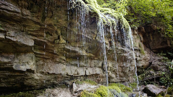 Muschelkalkgestein am Mühledobel-Wasserfall
