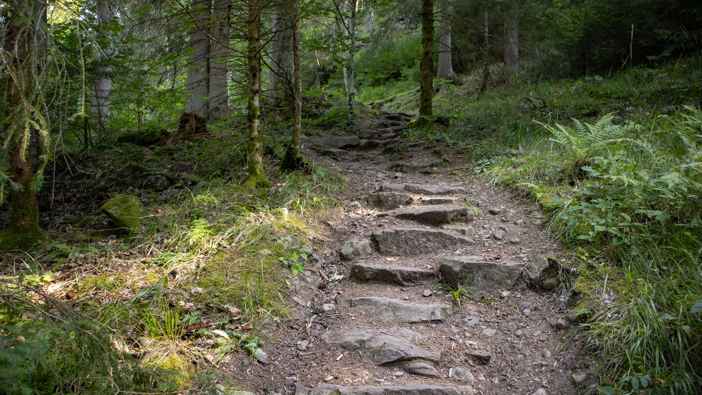 Wanderweg über Steinstufen