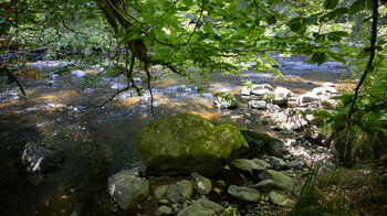 Wanderung am Ufer der Wutach