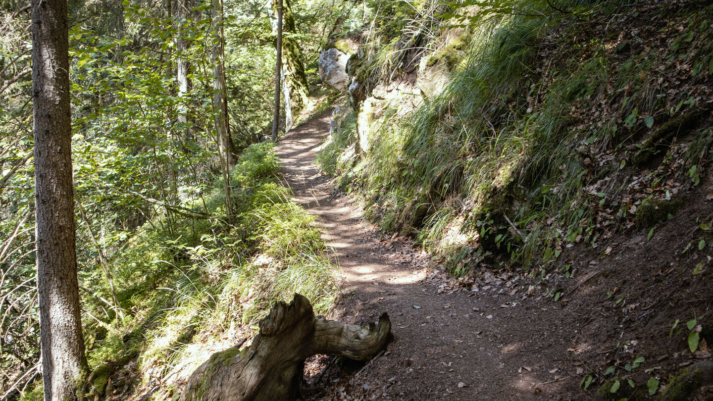 Wegverlauf des Schluchtensteigs oberhalb des Bachlaufs