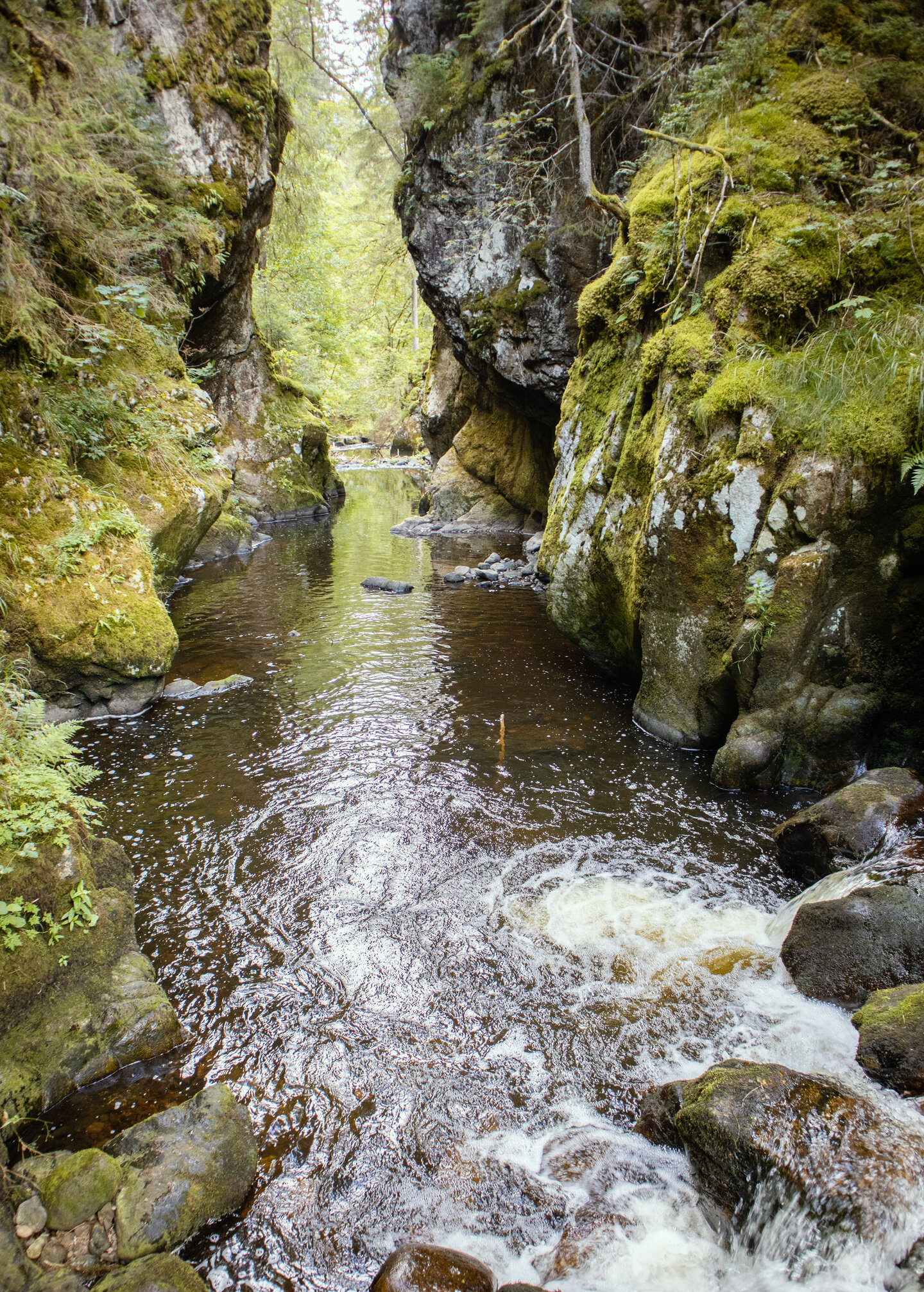 Felsdurchbruch der Haslach am Rechenfelsen