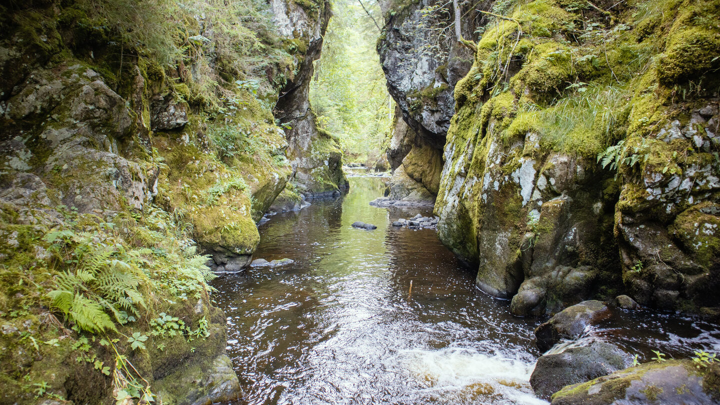 Engstelle in der Haslach-Schlucht