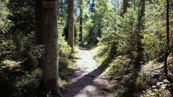 Wanderung auf dem Mühlenweg