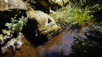 der idyllische Roodbach am Mühlenpfad