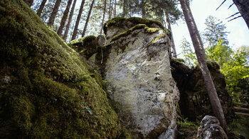 Felsformationen am Roodbach-Wasserfall