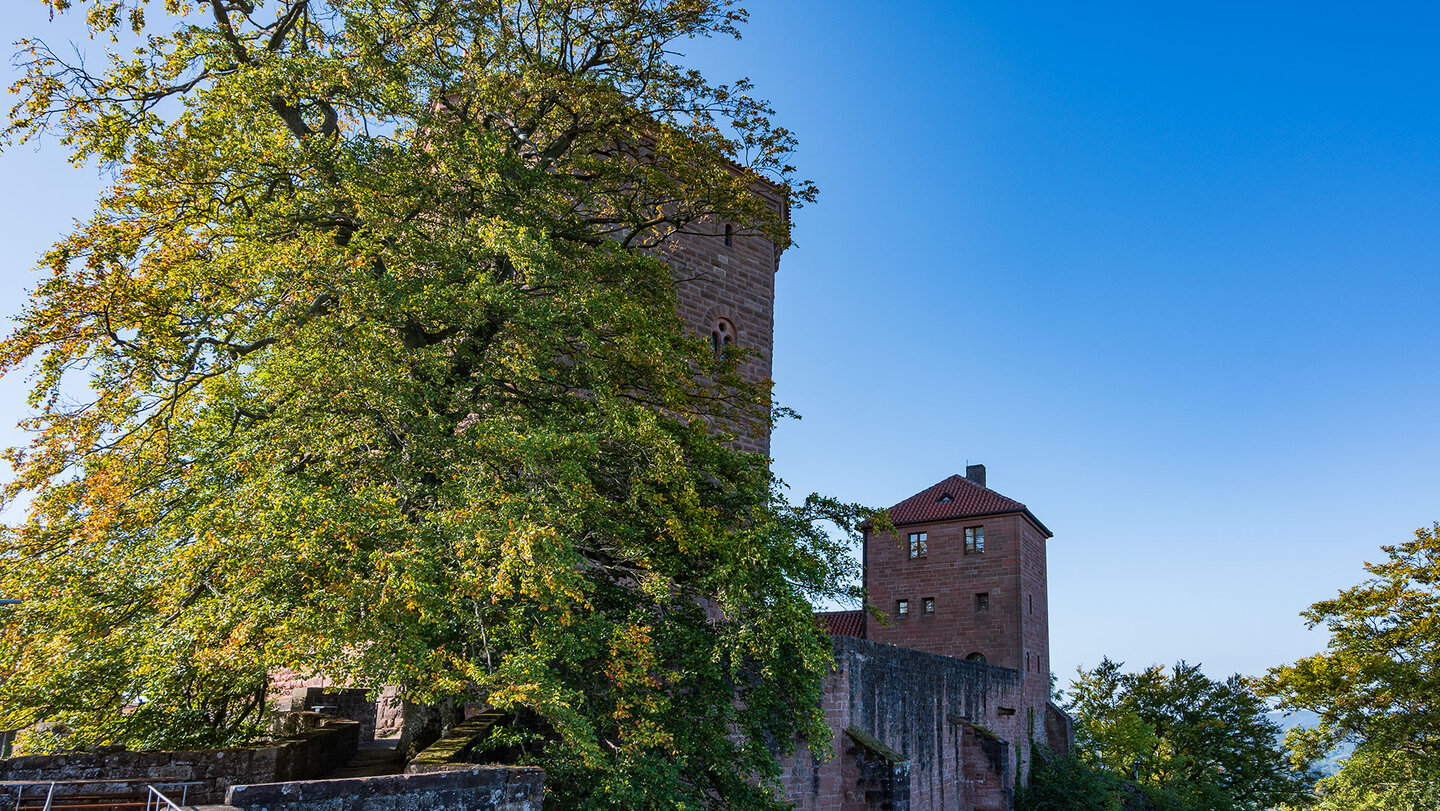 die Reichsburg Trifels oberhalb der Stadt Annweiler am Trifels
