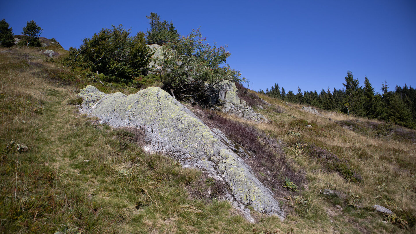 Felsformationen beim Aufstieg zum Feldberg