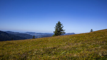 traumhafter Panoramablick über den kargen Höhenrücken des Feldberg