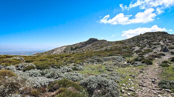 Wanderweg zum Cerro Tacita de Plata beim La Maroma