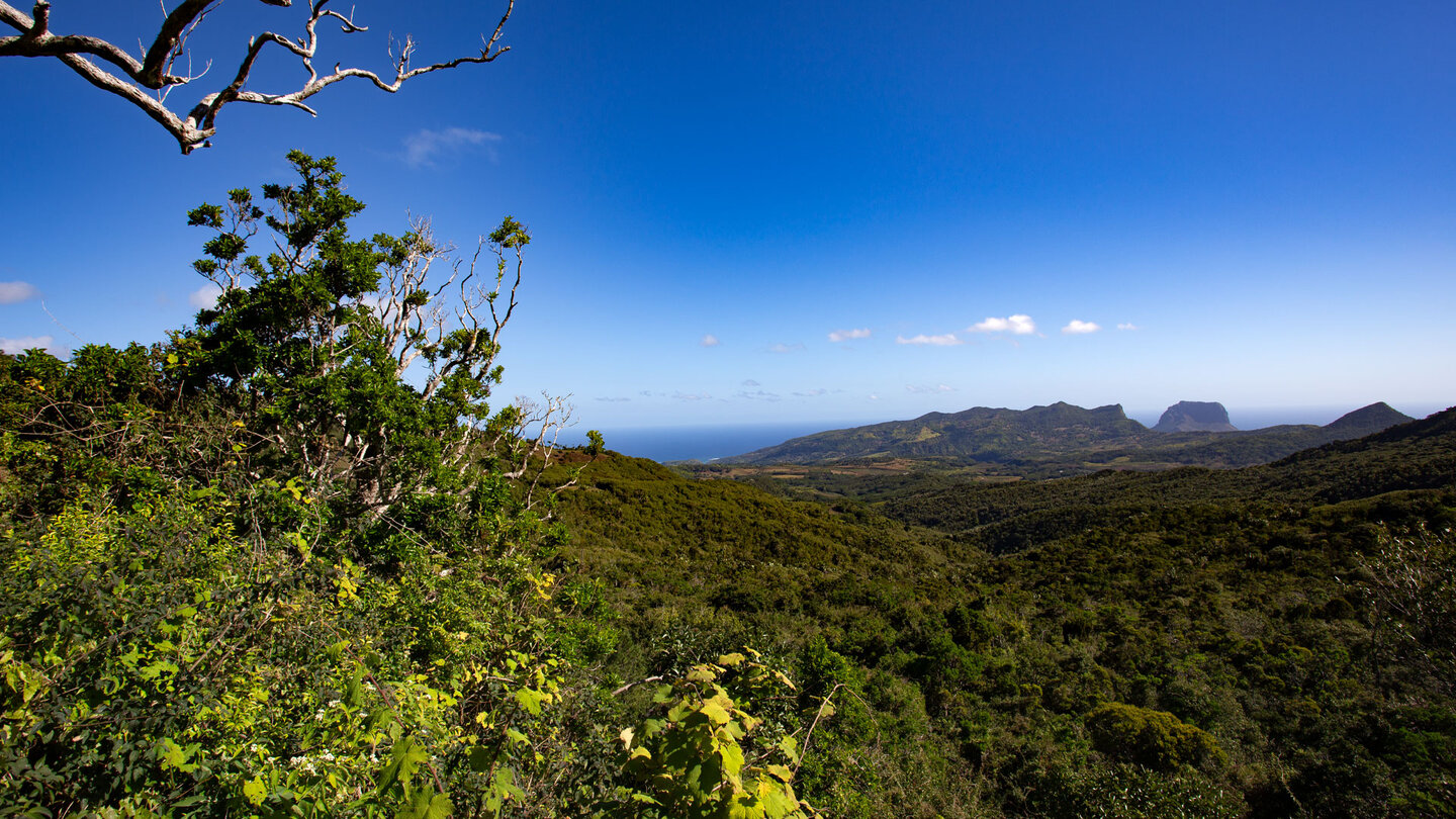 Colophane Trail zum Machabee Viewpoint Colophane Trail zum Machabee Viewpoint